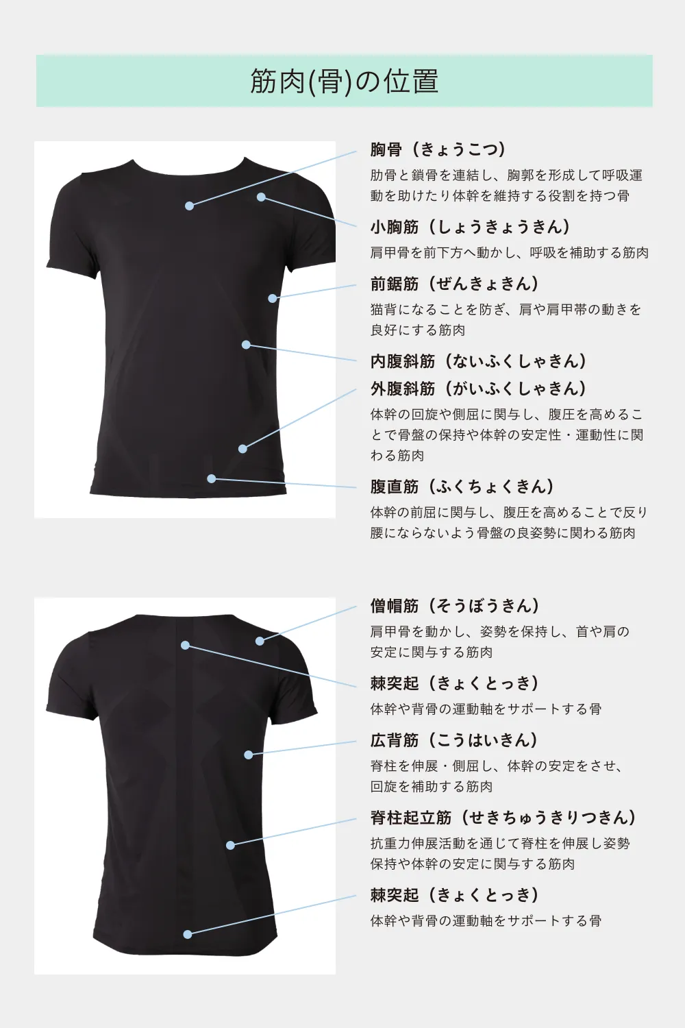 DERIT TECH（デリットテック）機能性インナーウェア クルーネック 半袖シャツ（男性用）ライトベージュ  S