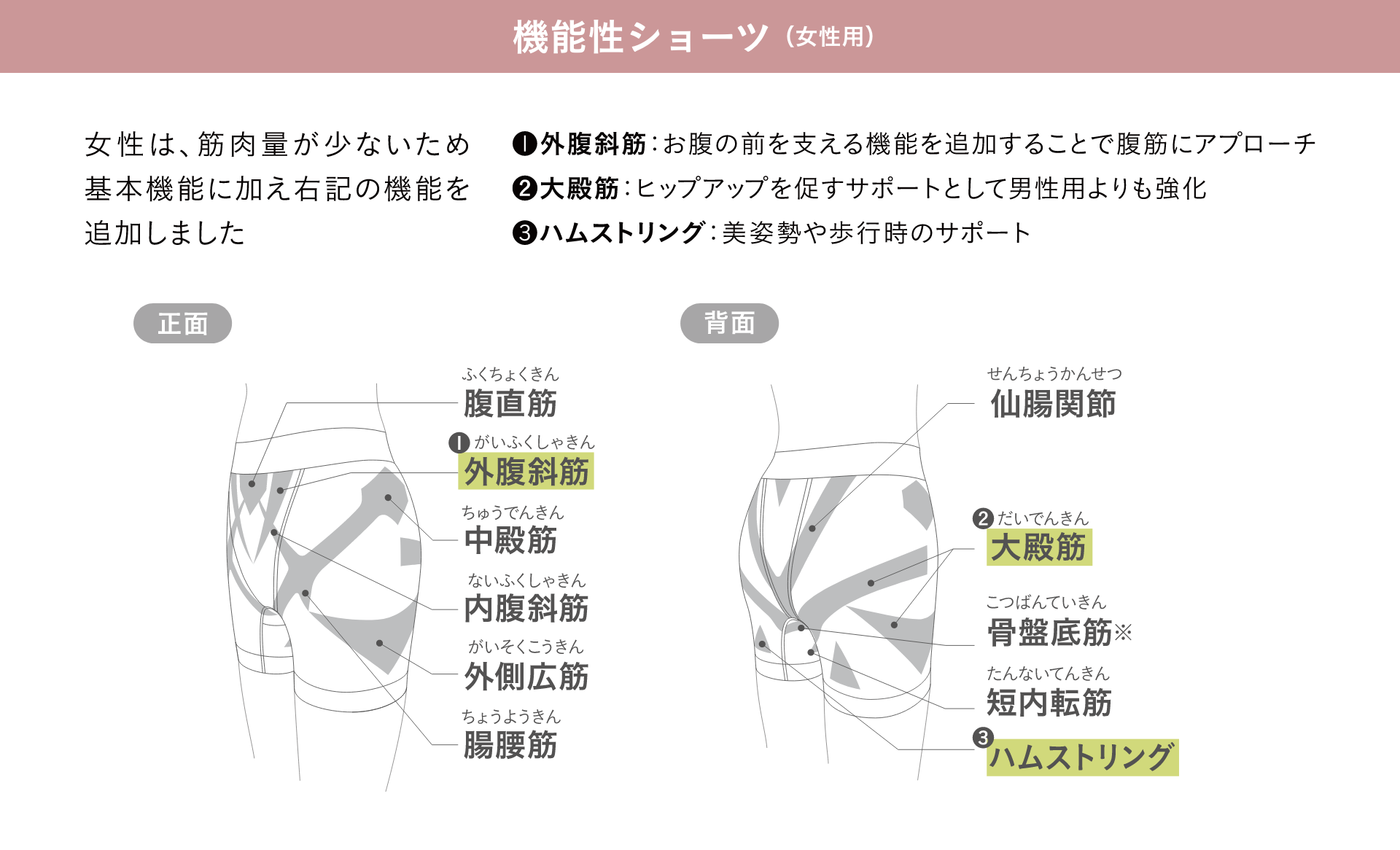 低筋圧理論とは？