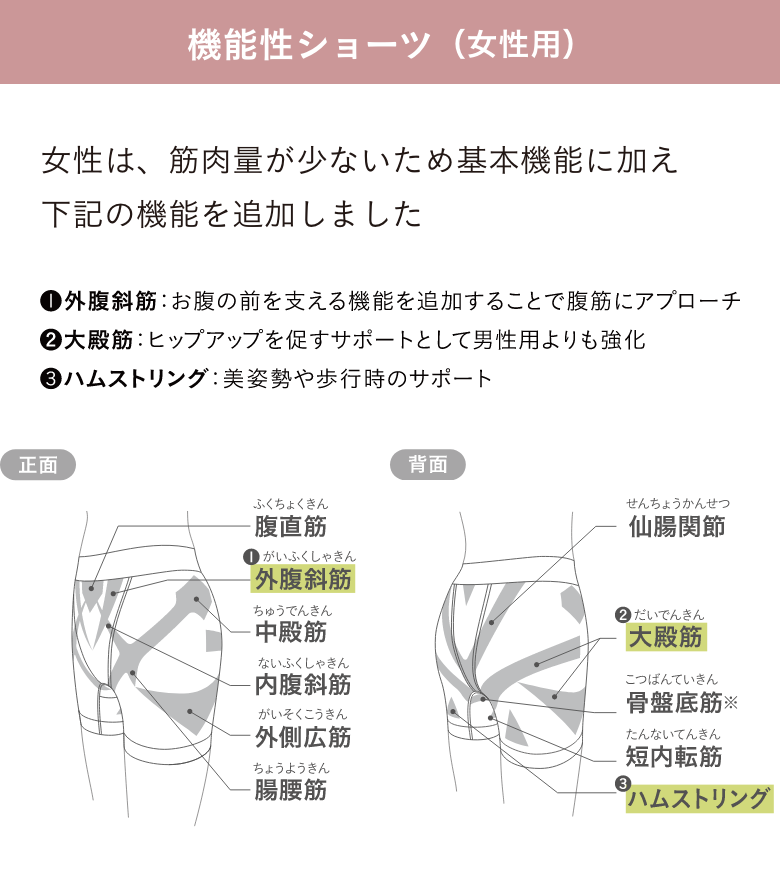 低筋圧理論とは？