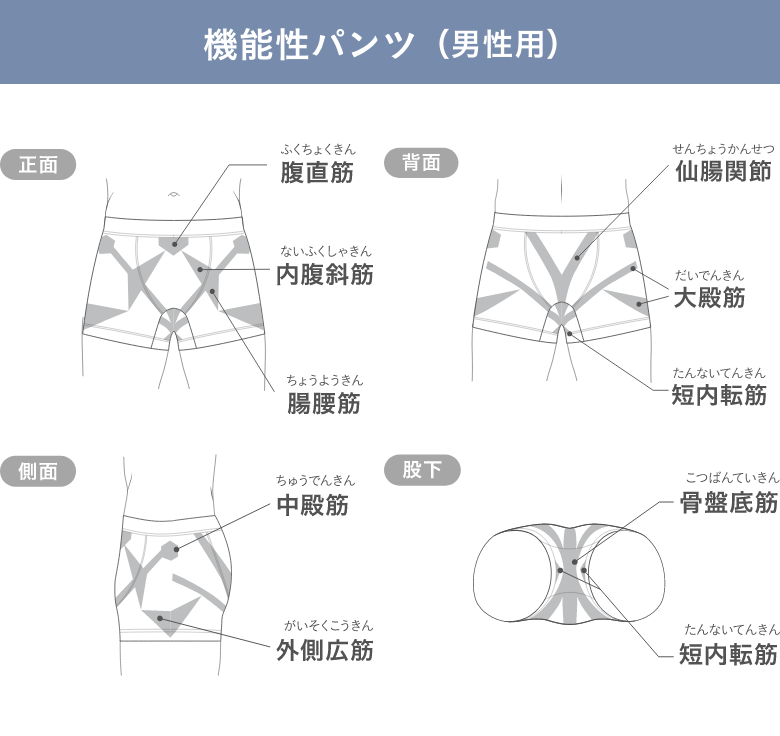 低筋圧理論とは？