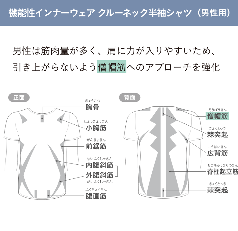 低筋圧理論とは？