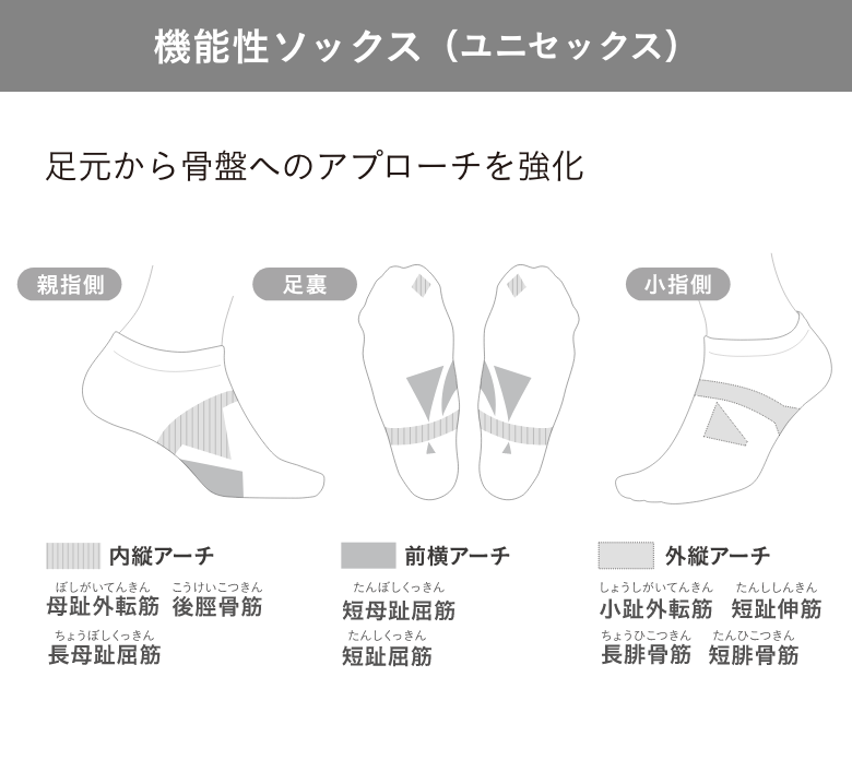 低筋圧理論とは？