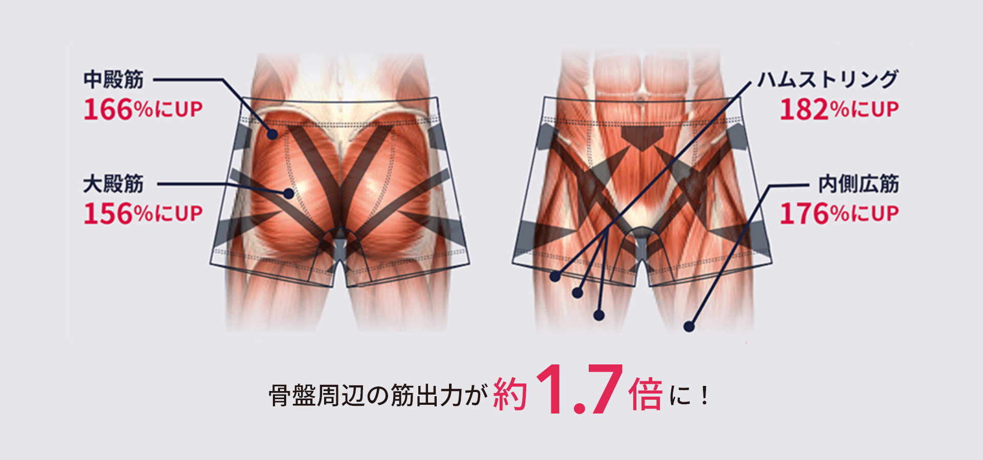 筋肉の変化 中殿筋 166%にUP ハムストリングス 182%にUP 大殿筋 156%にUP 内側広筋 176%にUP 骨盤周辺の筋力が約1.7倍に